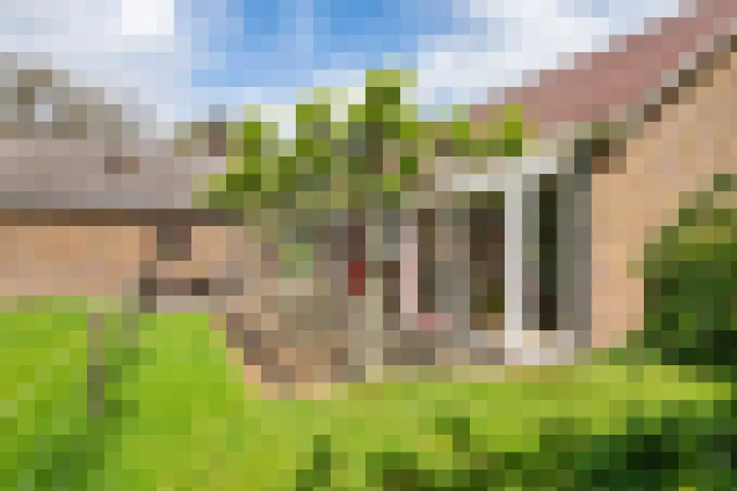 Tielsestraat 64 Maurik thumbnail 19