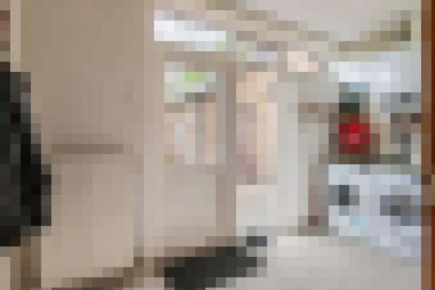Tielsestraat 64 Maurik thumbnail 25