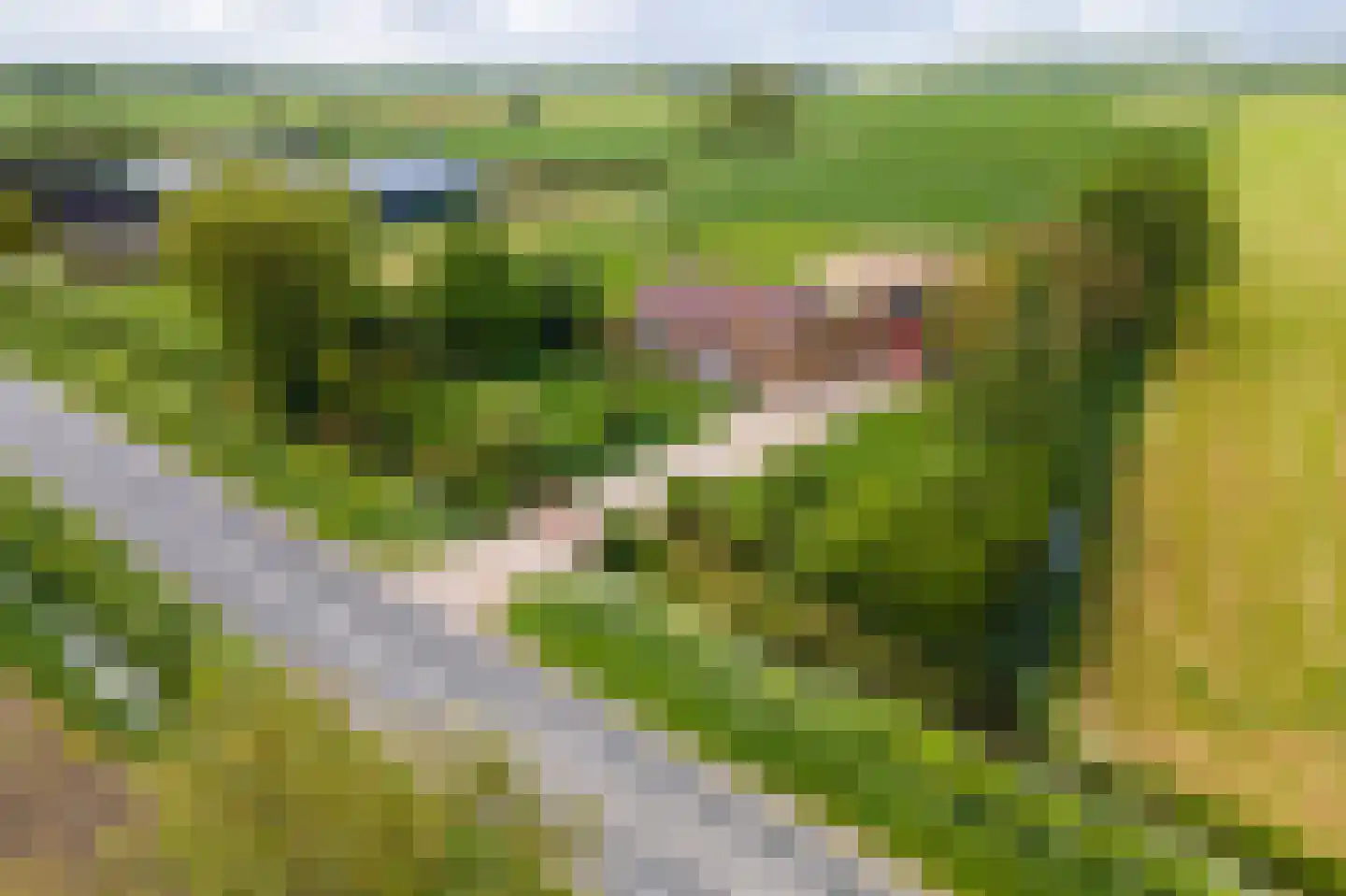 Tielsestraat 64 Maurik thumbnail 51