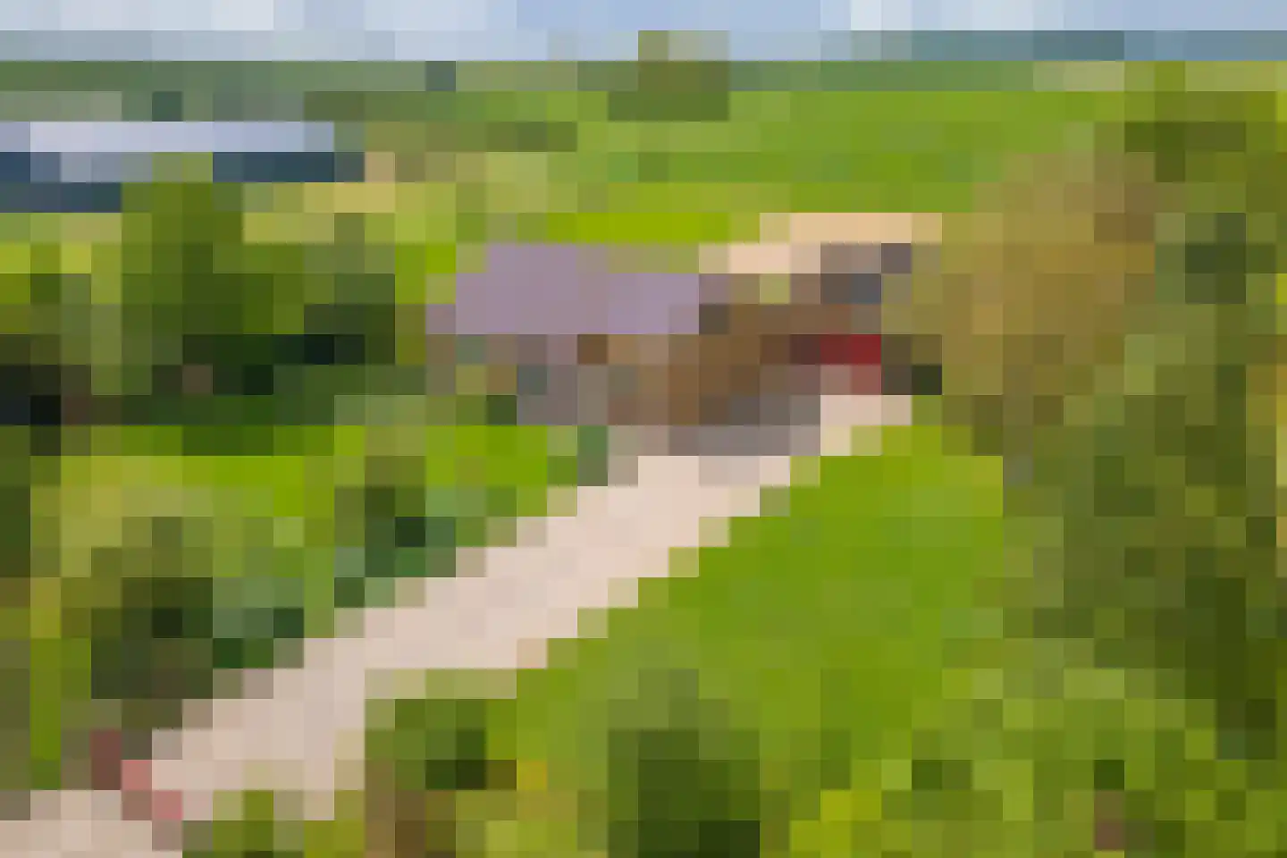Tielsestraat 64 Maurik thumbnail 53