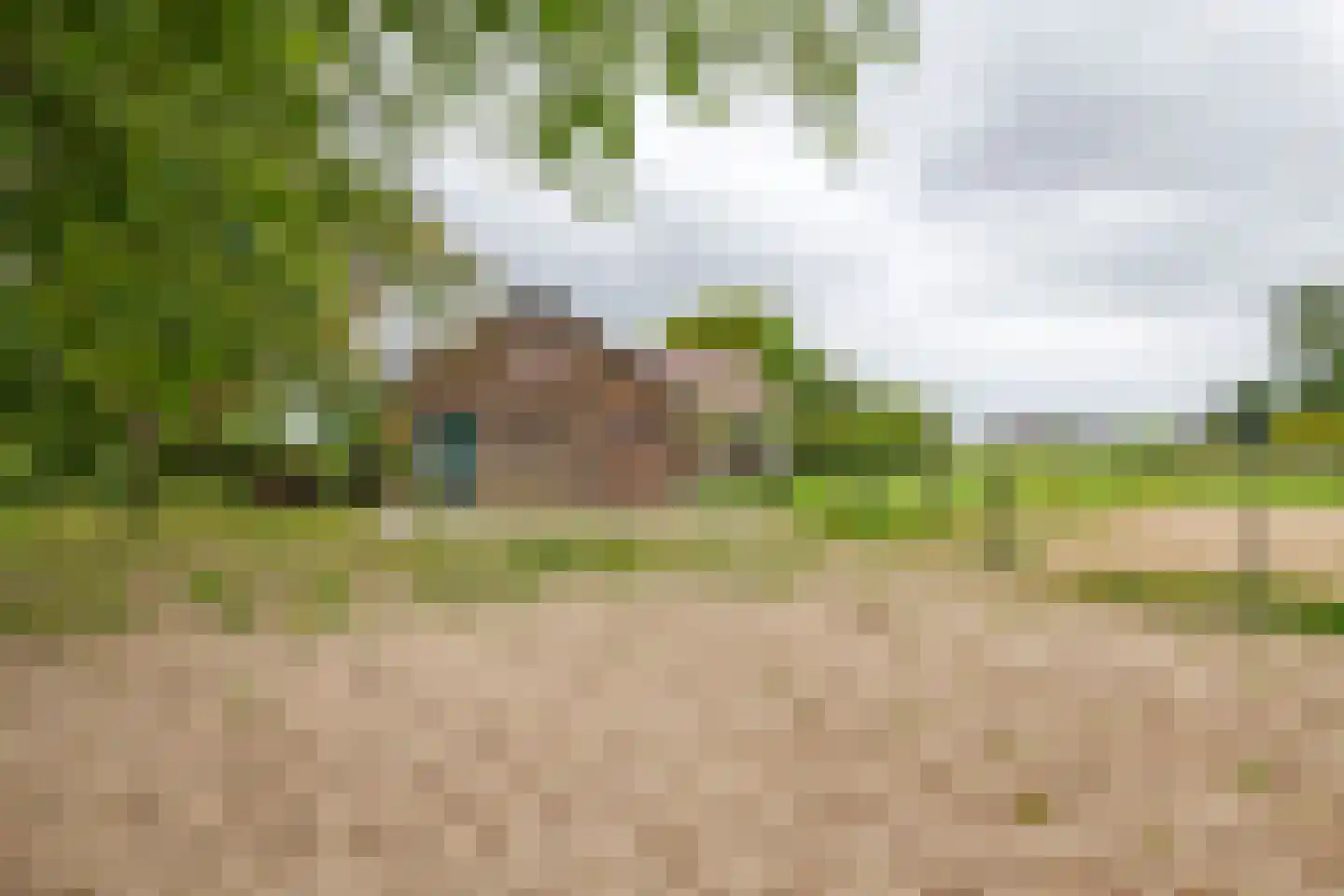 Tielsestraat 64 Maurik thumbnail 8