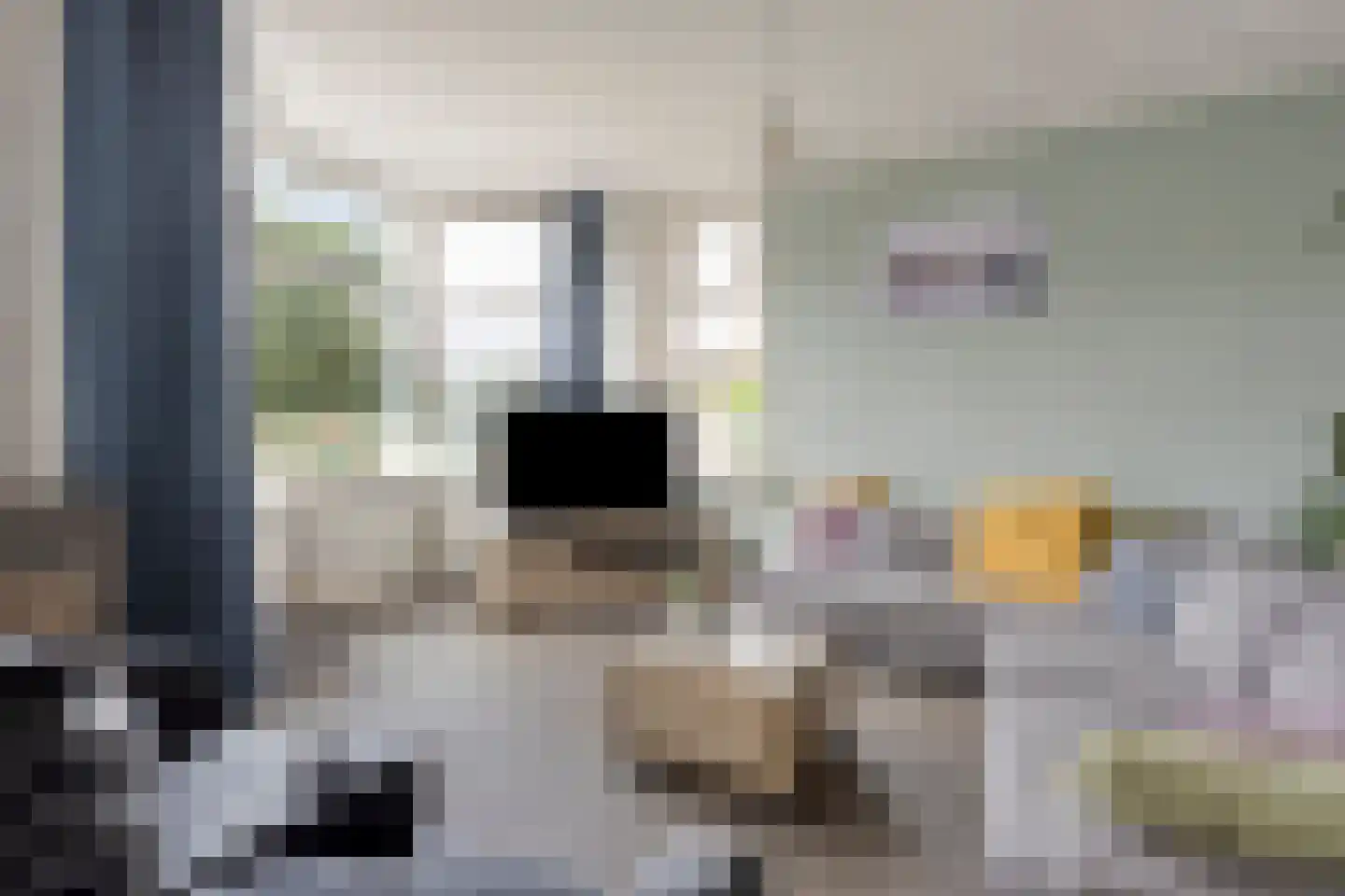 Tielsestraat 66 Valburg thumbnail 12