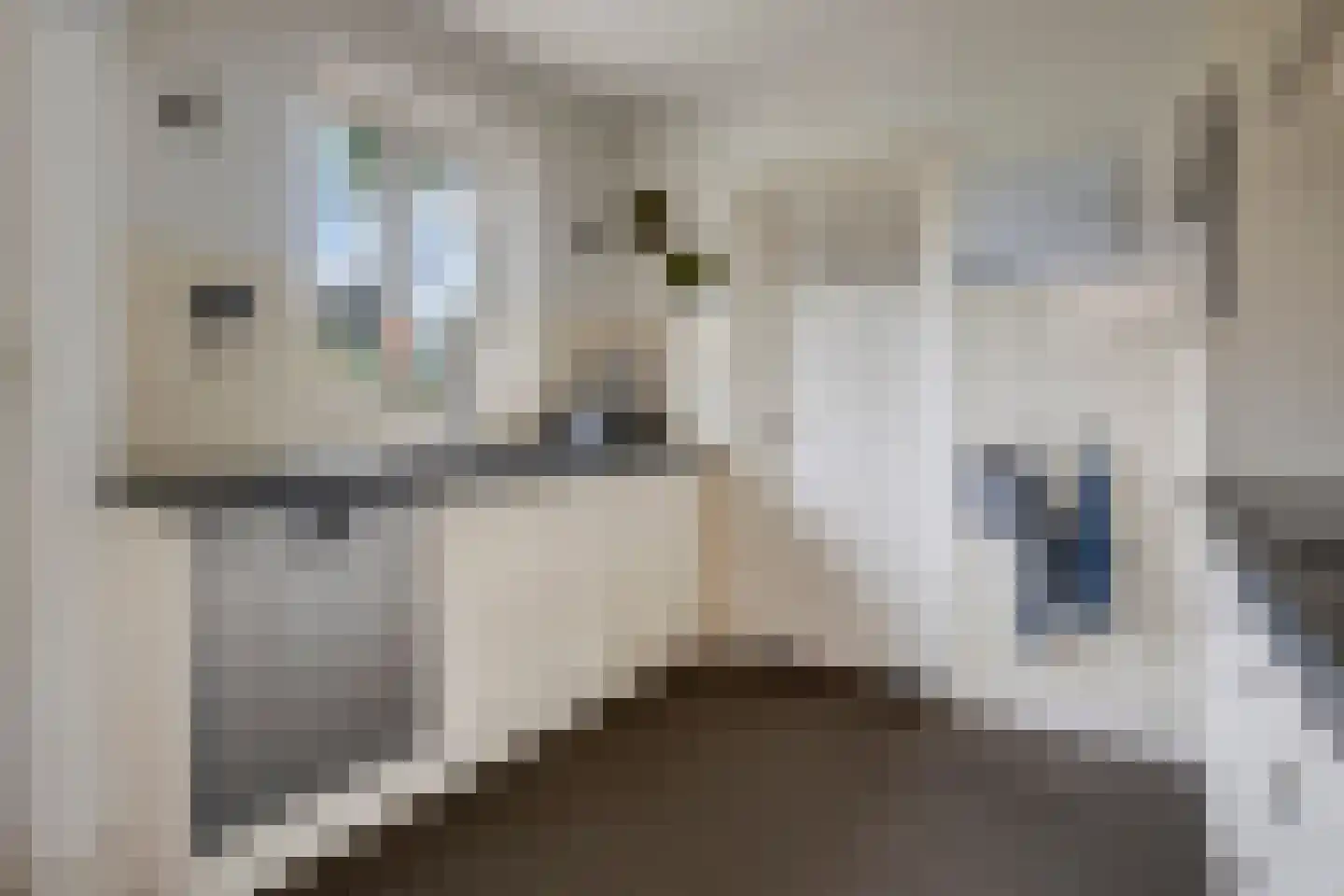 Tielsestraat 66 Valburg thumbnail 19