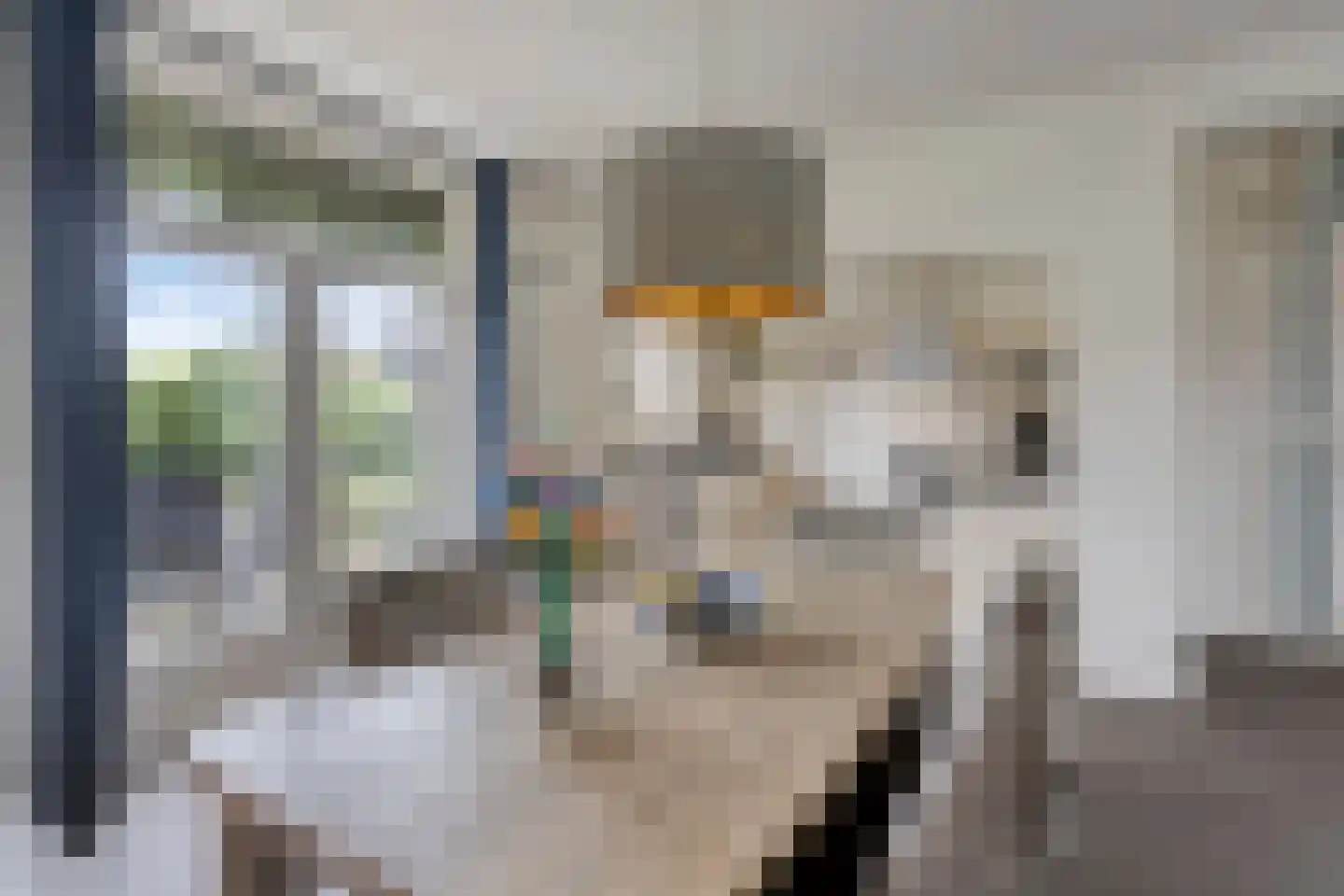 Tielsestraat 66 Valburg thumbnail 22
