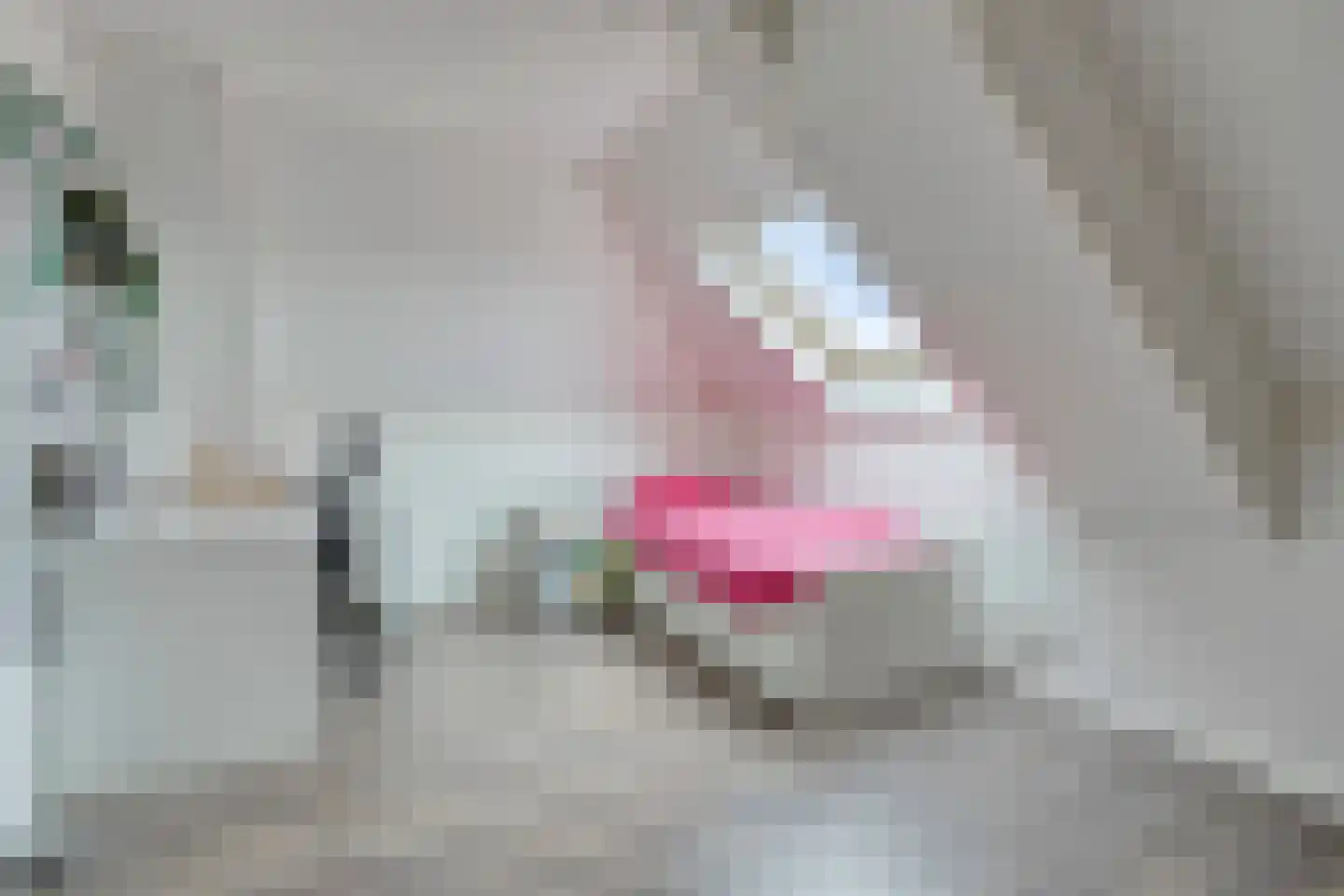 Tielsestraat 66 Valburg thumbnail 33