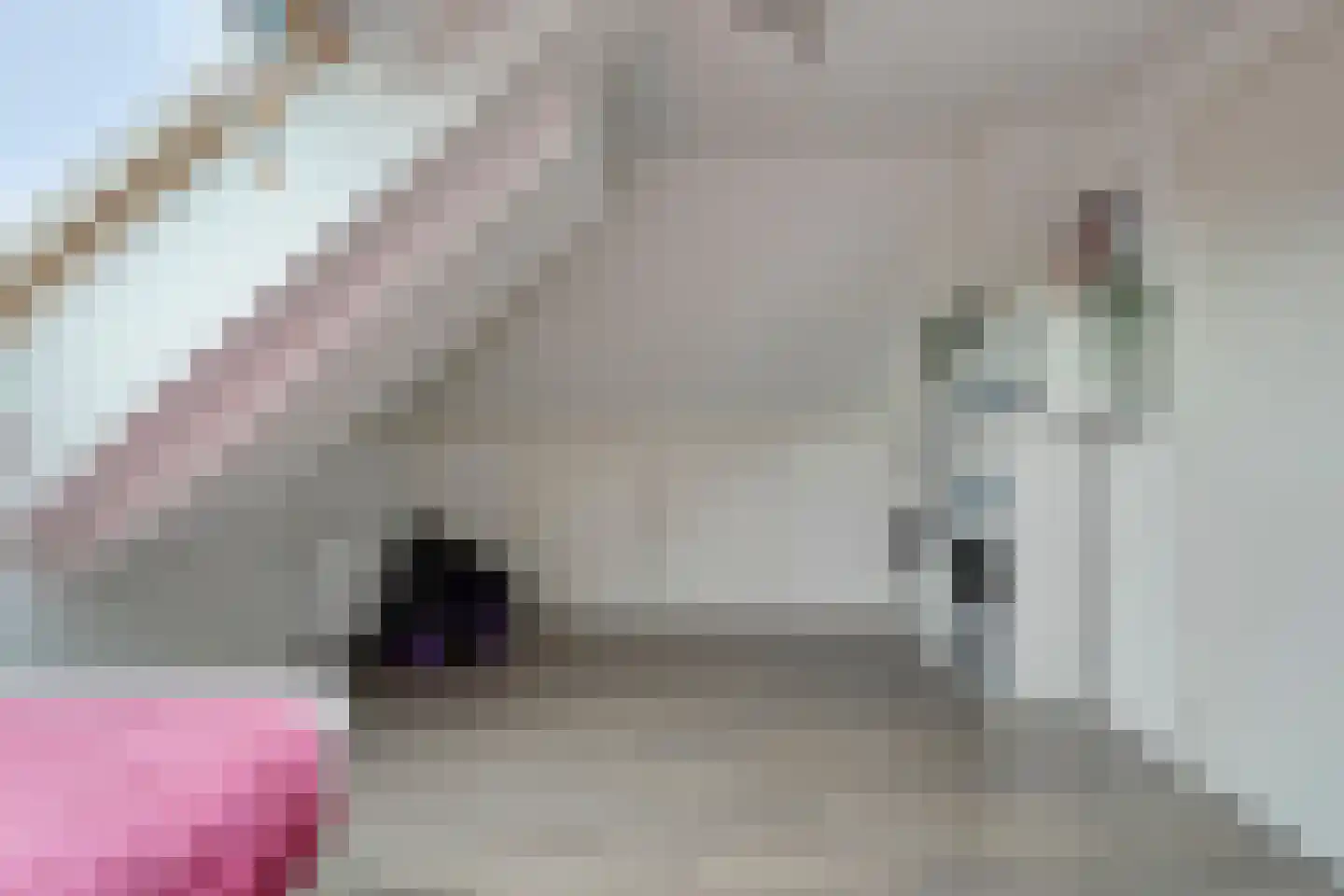 Tielsestraat 66 Valburg thumbnail 34