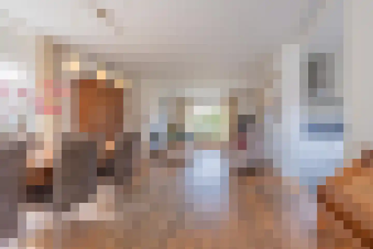 Tielsestraat 9 Maurik thumbnail 11