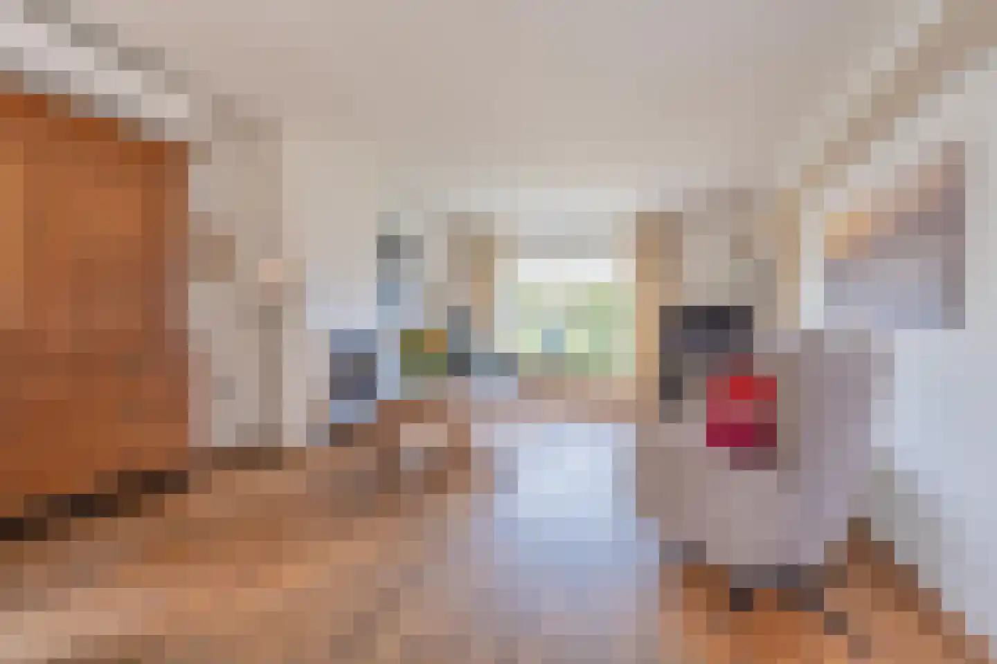 Tielsestraat 9 Maurik thumbnail 12