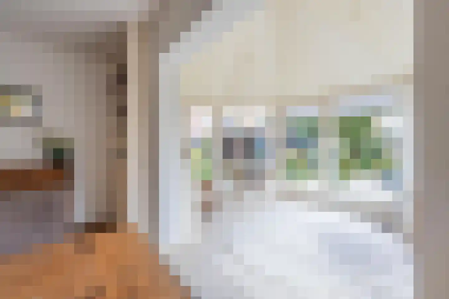 Tielsestraat 9 Maurik thumbnail 17