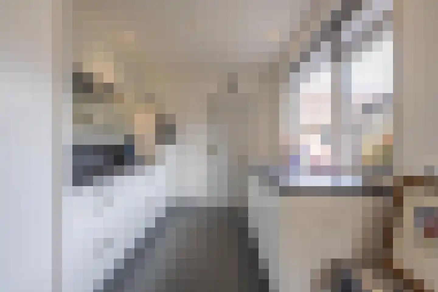 Tielsestraat 9 Maurik thumbnail 21