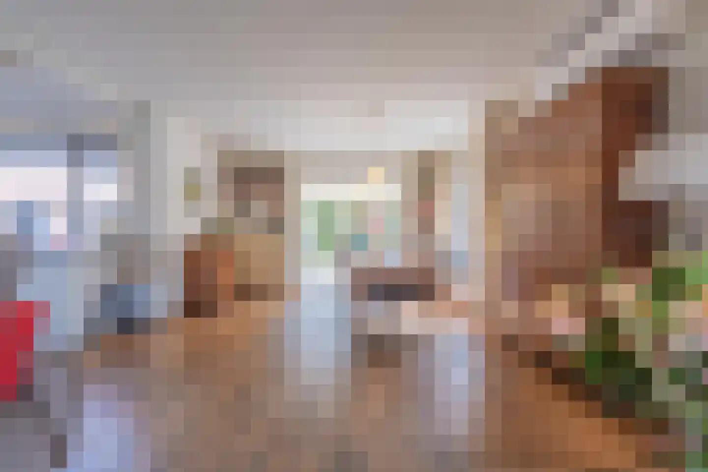 Tielsestraat 9 Maurik thumbnail 26