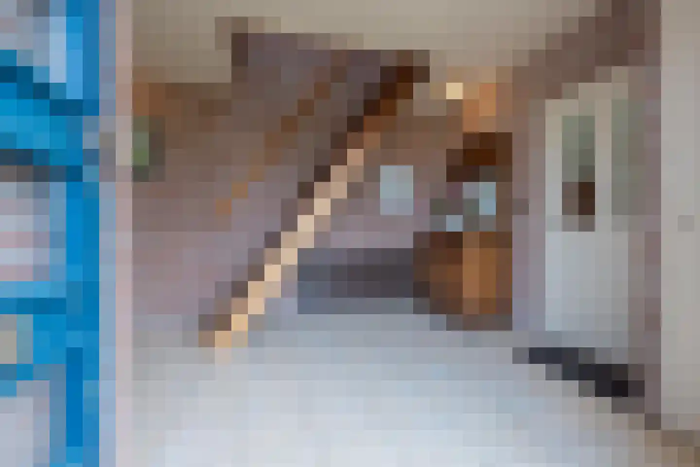 Tielsestraat 9 Maurik thumbnail 29