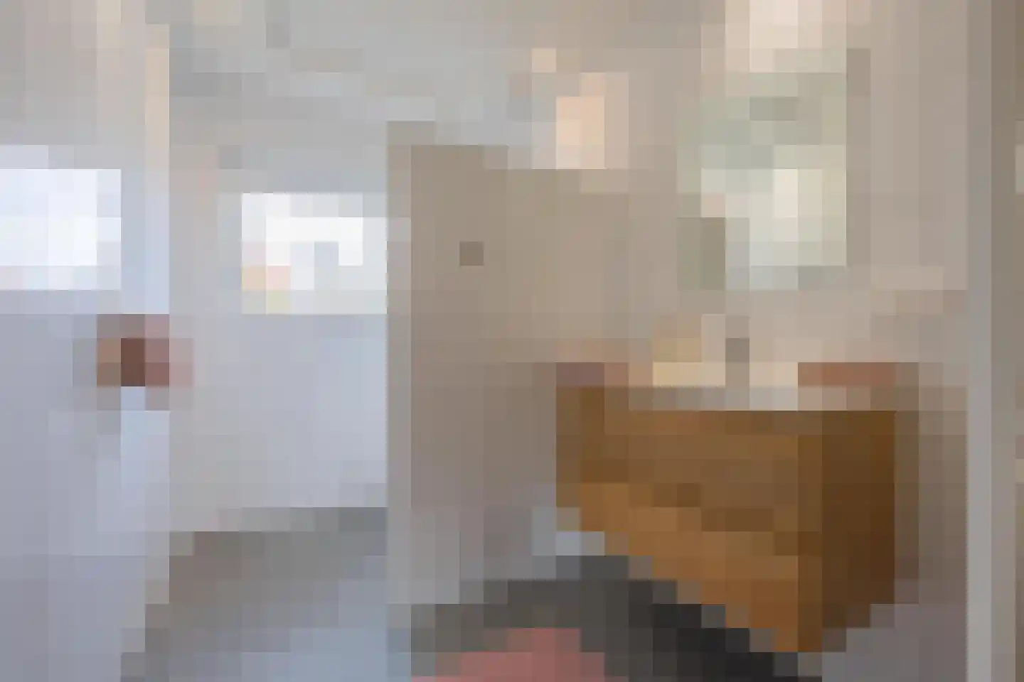 Tielsestraat 9 Maurik thumbnail 35