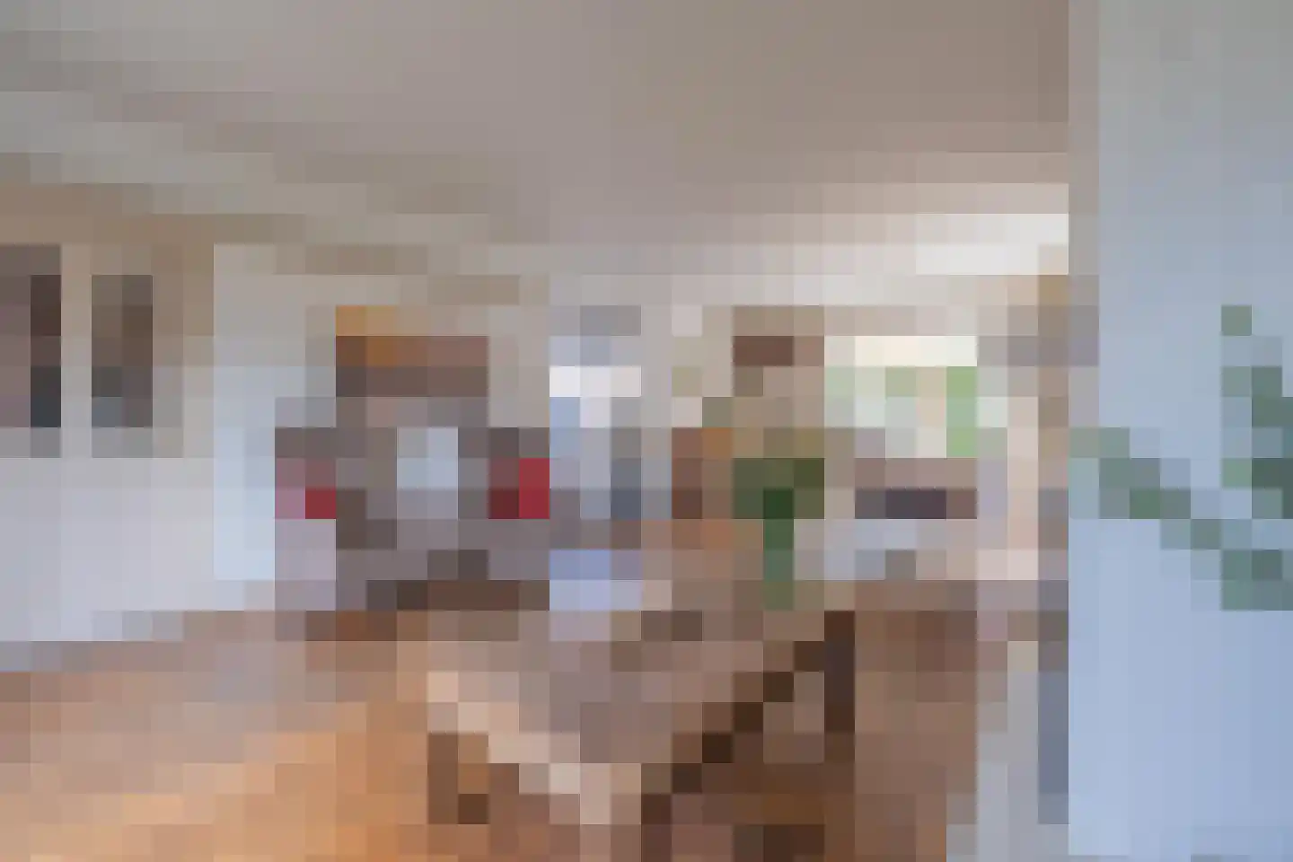 Tielsestraat 9 Maurik thumbnail 4