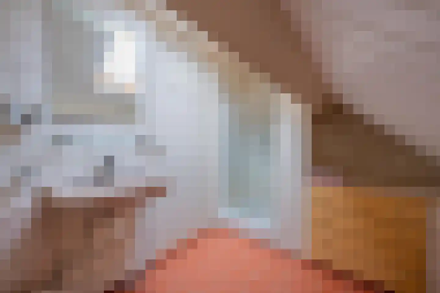 Tielsestraat 9 Maurik thumbnail 43