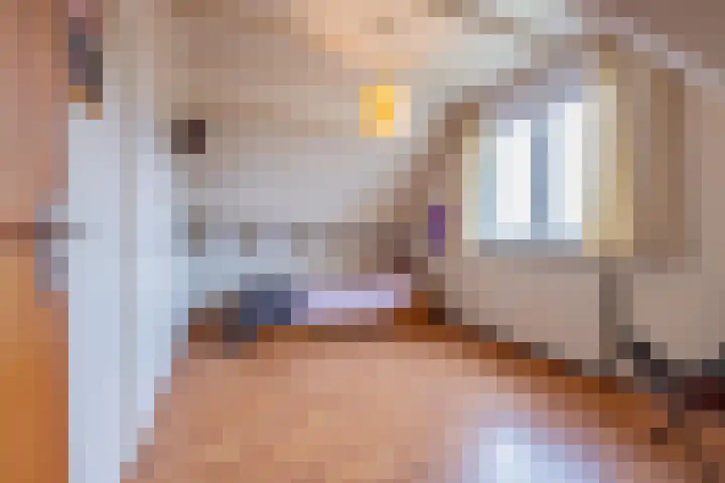 Tielsestraat 9 Maurik thumbnail 47