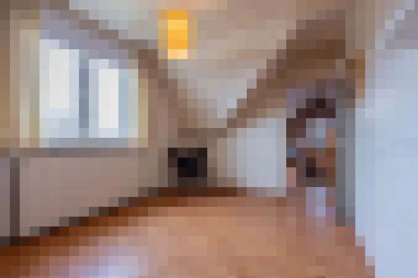 Tielsestraat 9 Maurik thumbnail 48
