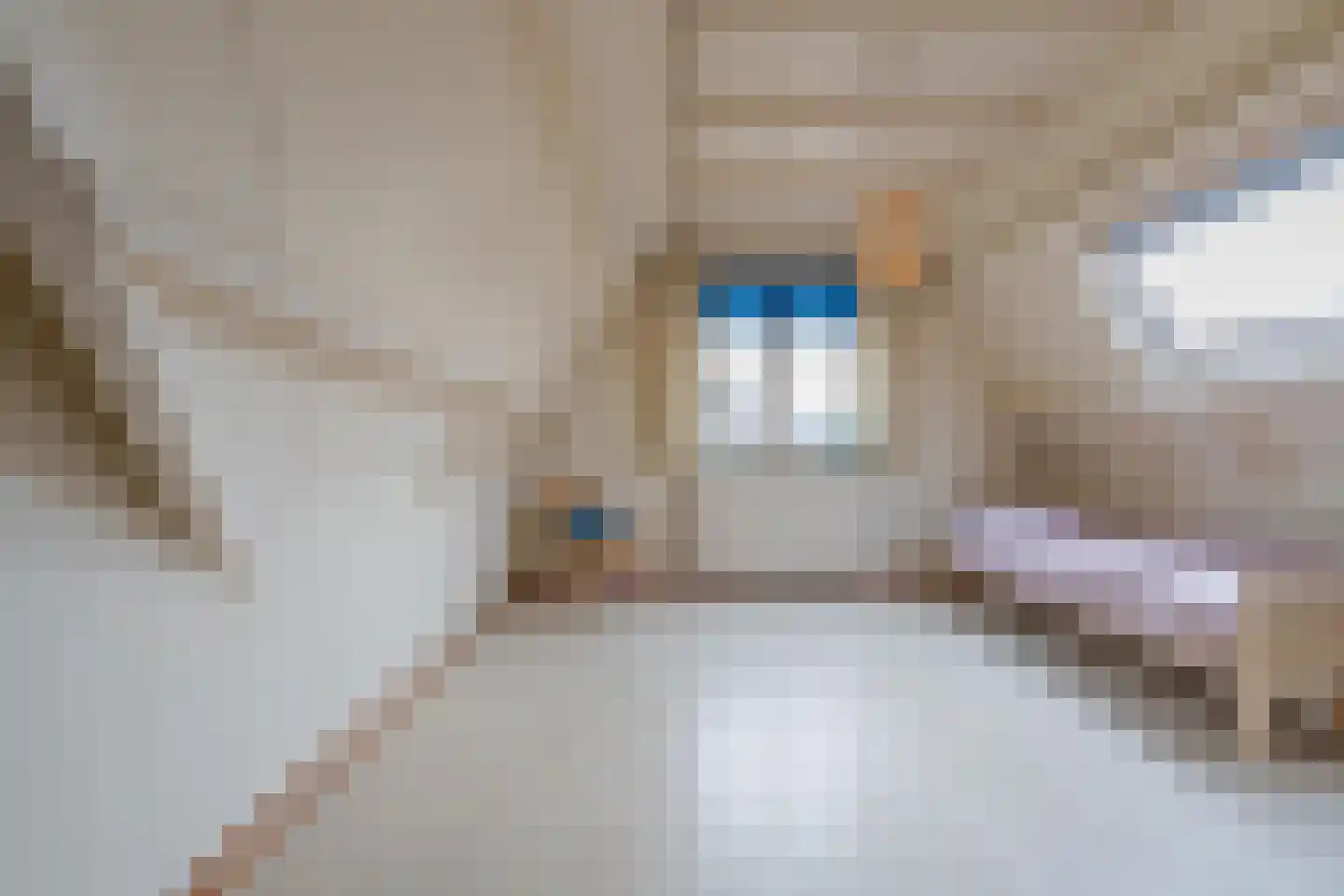 Tielsestraat 9 Maurik thumbnail 51