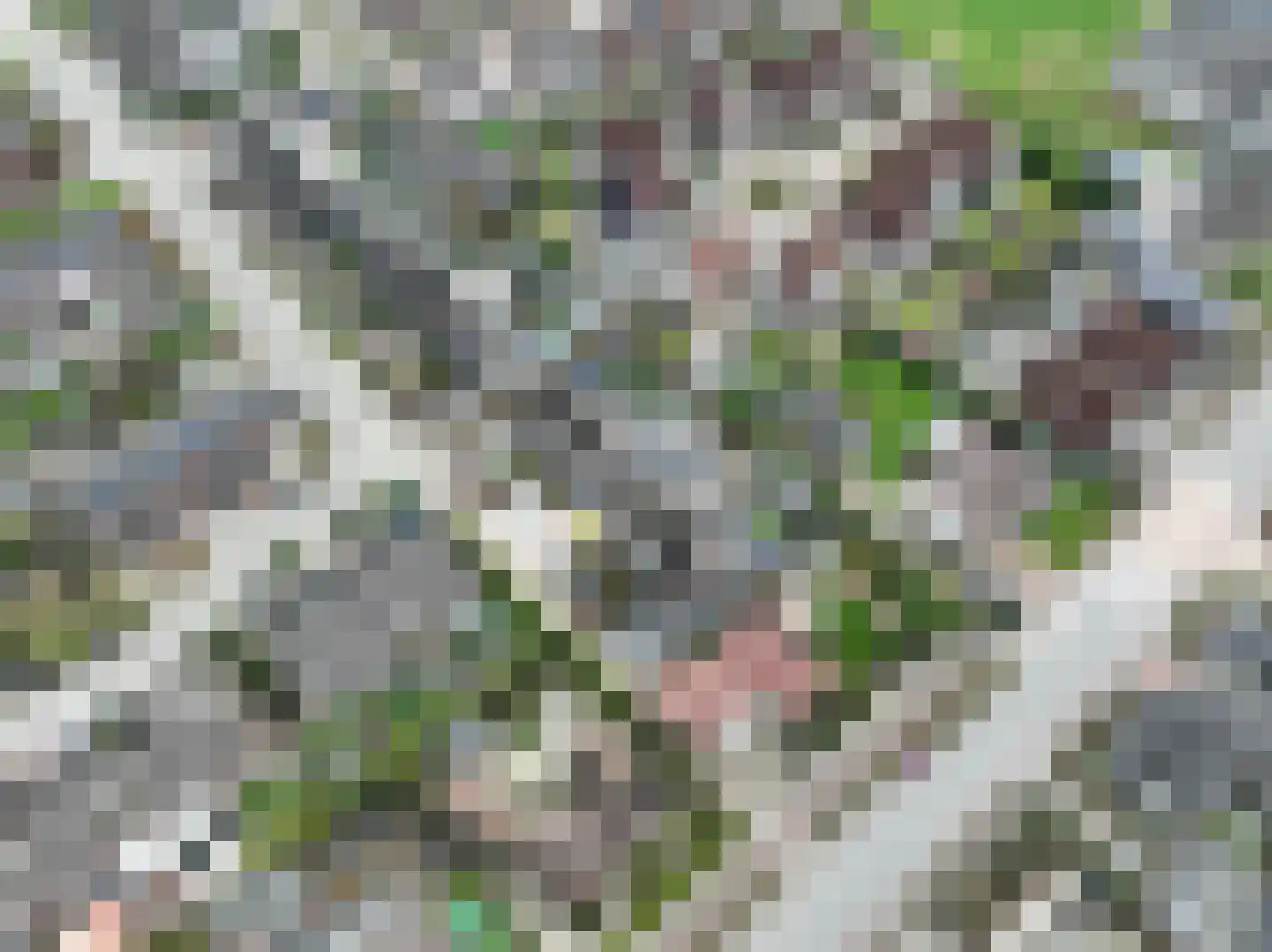Tielsestraat 9 Maurik thumbnail 55