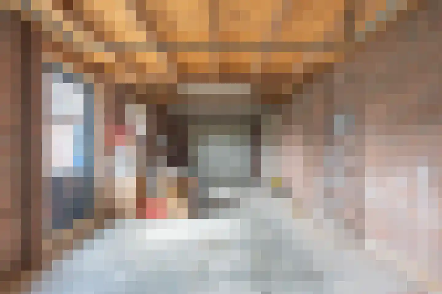 Tielsestraat 9 Maurik thumbnail 64