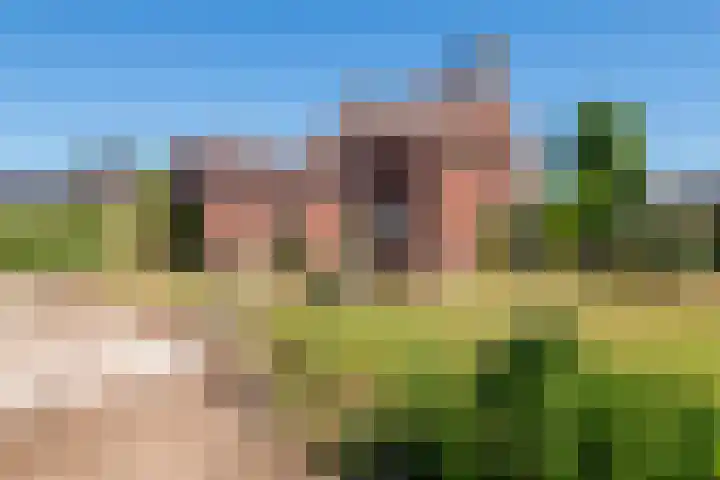 Tielseweg 3 Kerk-Avezaath thumbnail 10