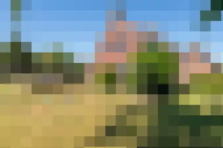 Tielseweg 3 Kerk-Avezaath thumbnail 13