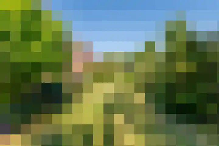 Tielseweg 3 Kerk-Avezaath thumbnail 14