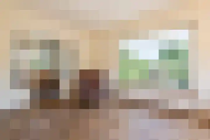 Tielseweg 3 Kerk-Avezaath thumbnail 23