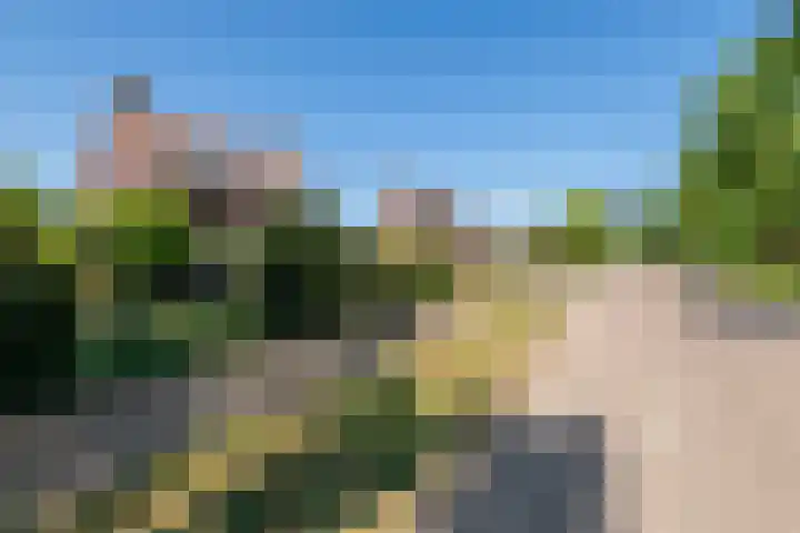Tielseweg 3 Kerk-Avezaath thumbnail 4