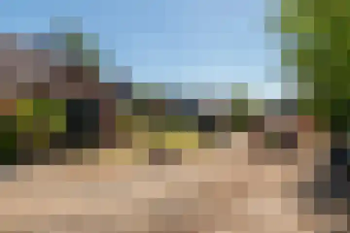 Tielseweg 3 Kerk-Avezaath thumbnail 8