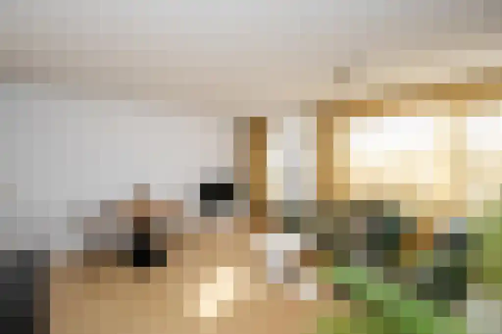 Tielstraat 86 Amsterdam thumbnail 6