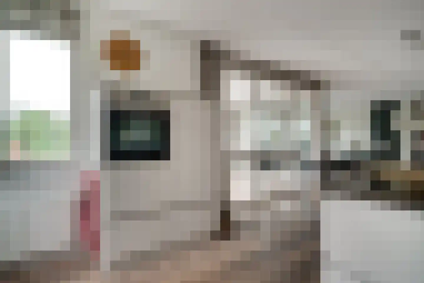 Tienakker 20 Wijchen thumbnail 16