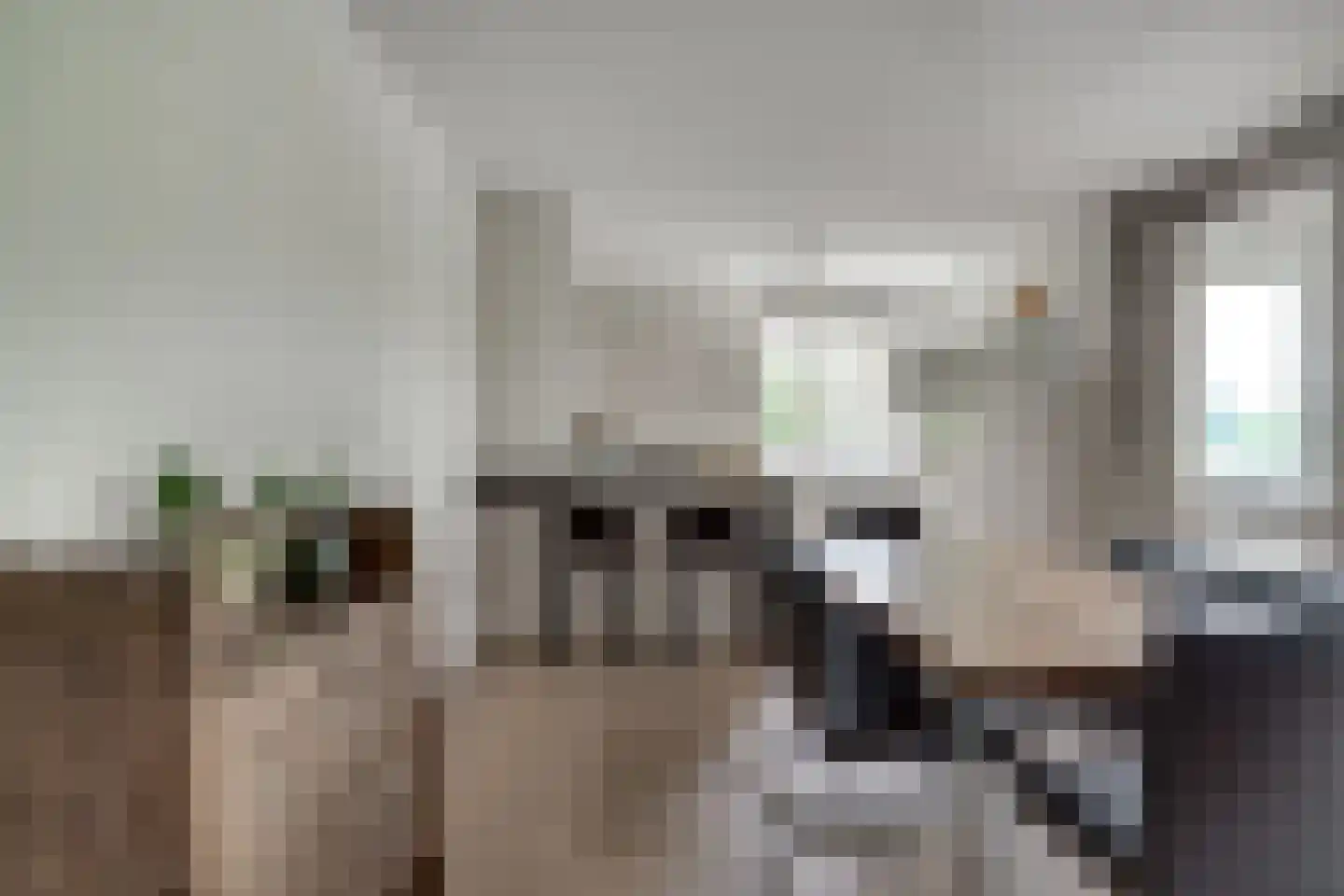 Tienakker 20 Wijchen thumbnail 19