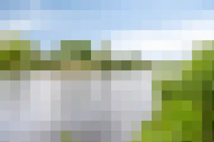 Tienakker 42 Wijchen thumbnail 28