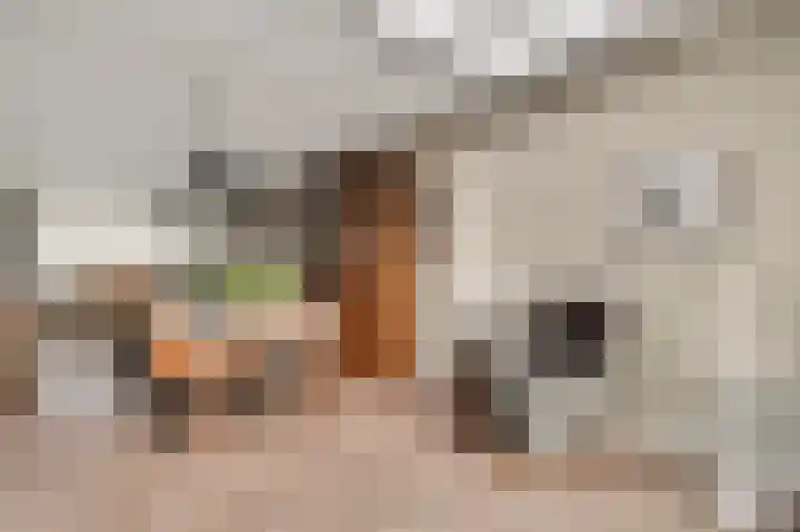 Tienderweg 30 Heythuysen thumbnail 15