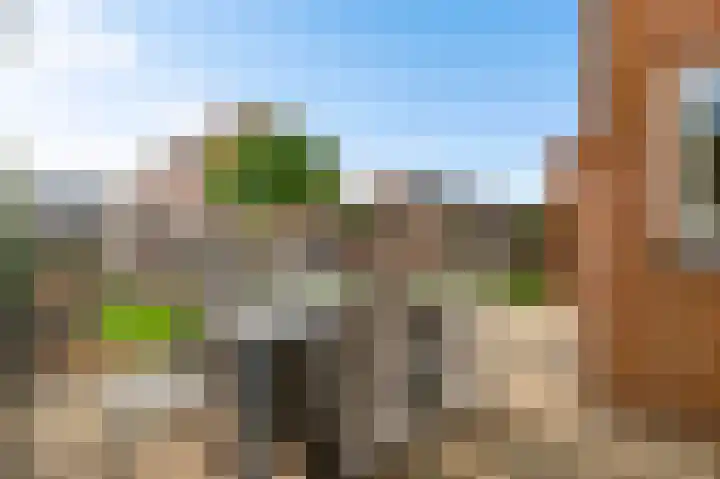 Tienderweg 30 Heythuysen thumbnail 33