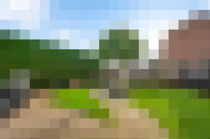 Tienderweg 30 Heythuysen thumbnail 4