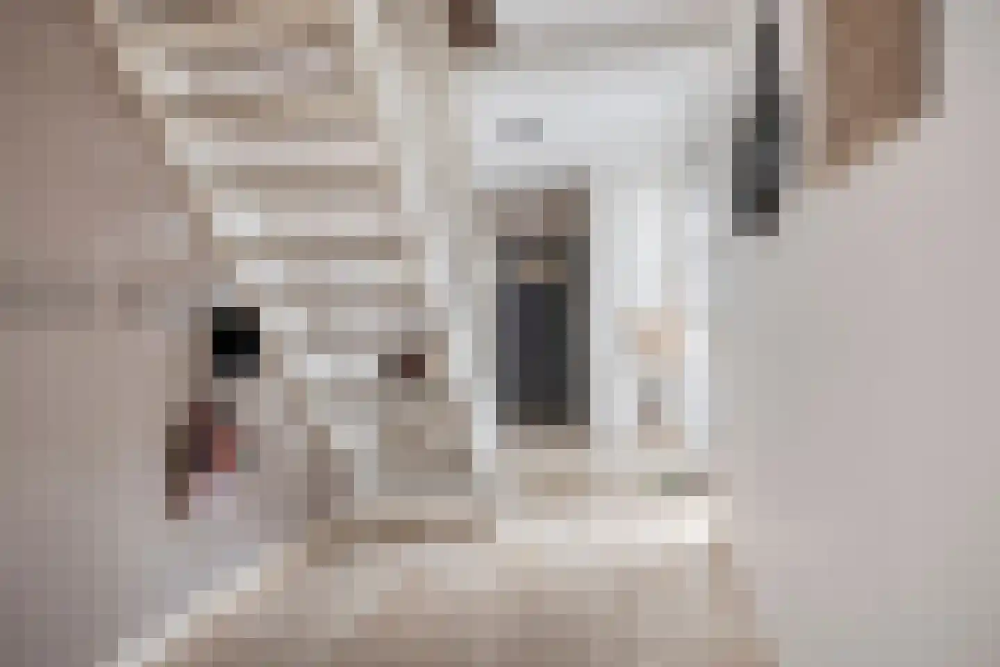 Tienderweg 73 Heythuysen thumbnail 7