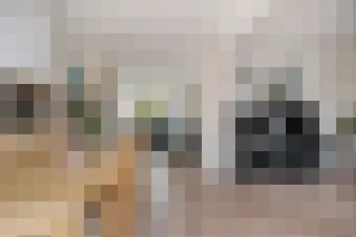 Tiendevrij 5 Wouw thumbnail 12