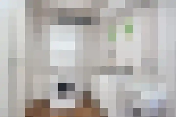 Tiendevrij 5 Wouw thumbnail 29