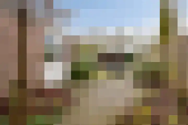 Tiendevrij 5 Wouw thumbnail 4