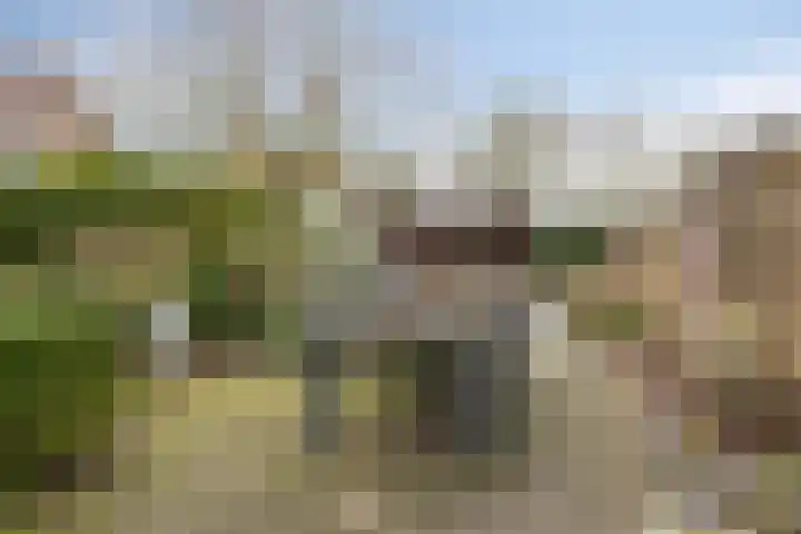 Tiendevrij 5 Wouw thumbnail 49