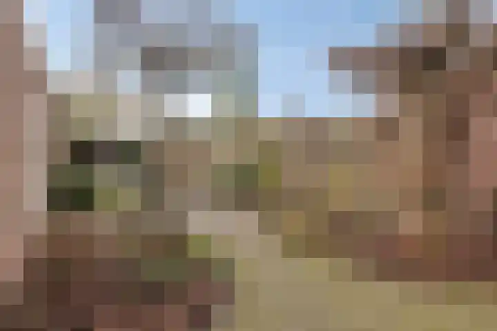 Tiendevrij 5 Wouw thumbnail 50