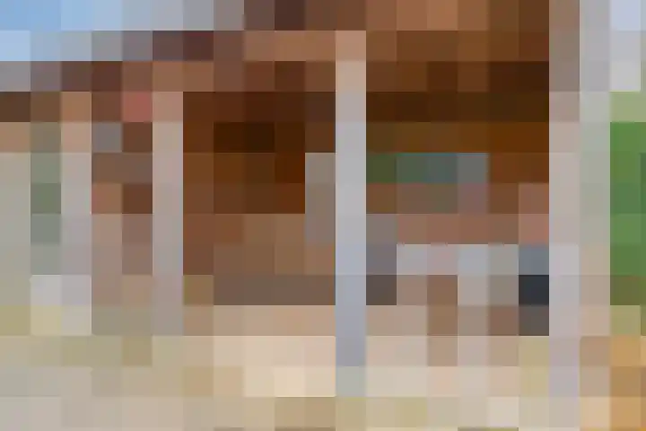 Tiendevrij 5 Wouw thumbnail 52