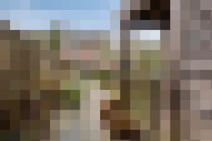 Tiendevrij 5 Wouw thumbnail 53