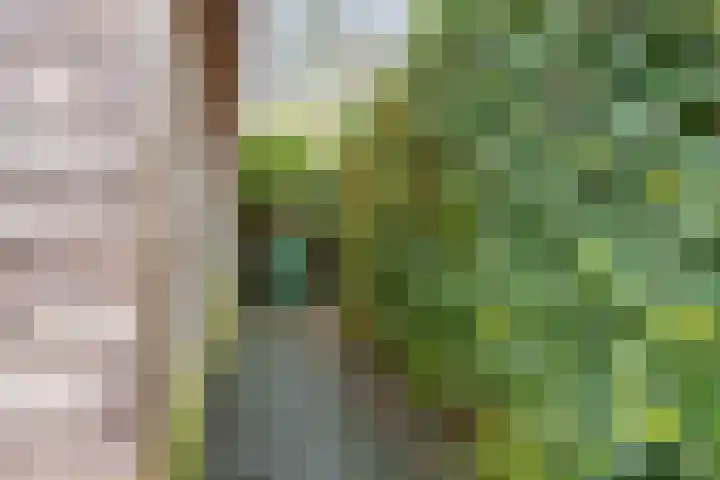 Tiendevrij 5 Wouw thumbnail 54