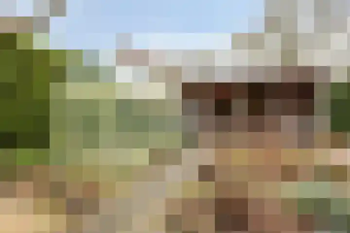 Tiendevrij 5 Wouw thumbnail 55
