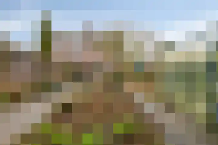Tiendevrij 5 Wouw thumbnail 56