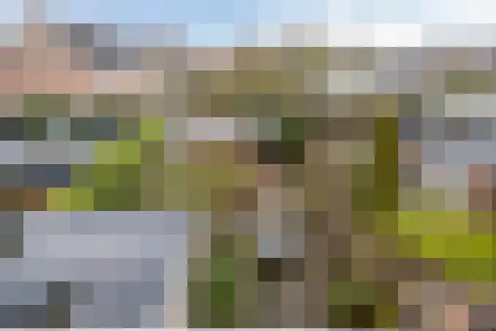 Tiendevrij 5 Wouw thumbnail 57