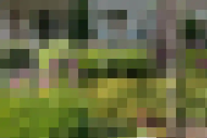 Tiendevrij 5 Wouw thumbnail 61